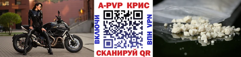 A PVP СК  Андреаполь 